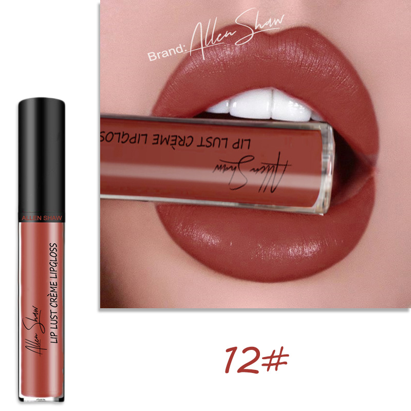 Lip Glaze Cream Lip Gloss European and American Cosmetics Beauty Makeup view 2