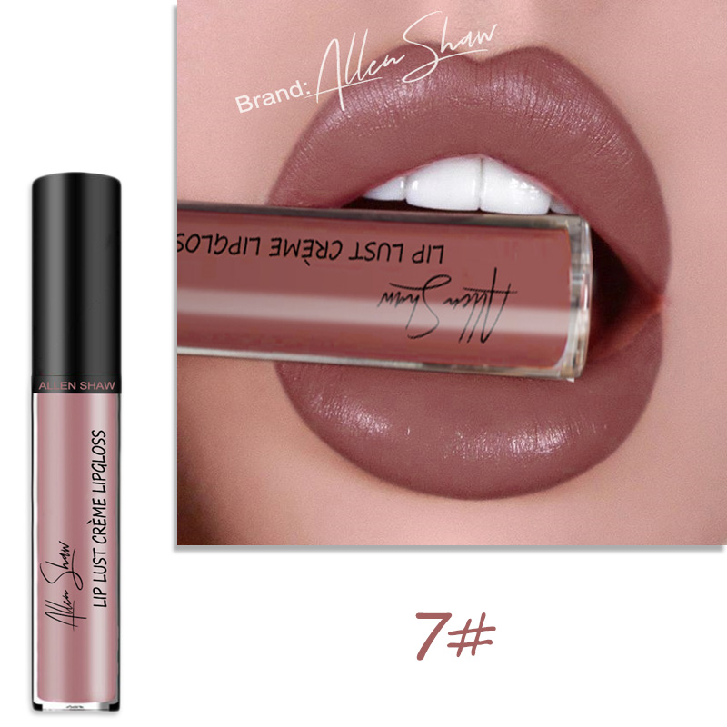 Lip Glaze Cream Lip Gloss European and American Cosmetics Beauty Makeup view 6