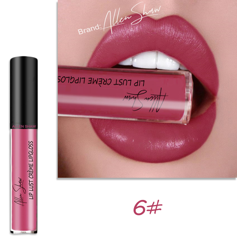 Lip Glaze Cream Lip Gloss European and American Cosmetics Beauty Makeup view 7