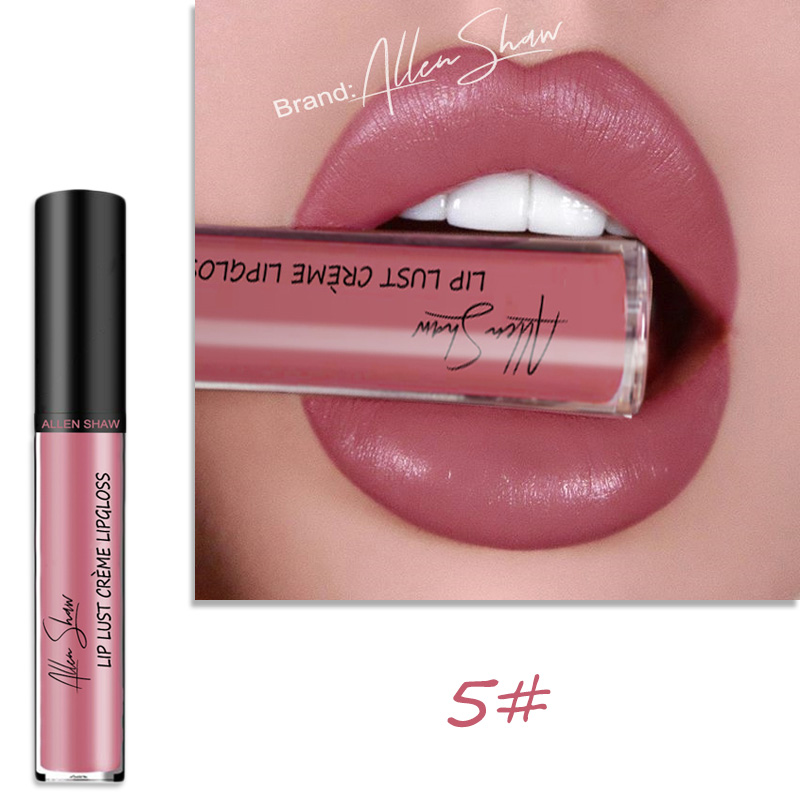 Lip Glaze Cream Lip Gloss European and American Cosmetics Beauty Makeup view 8