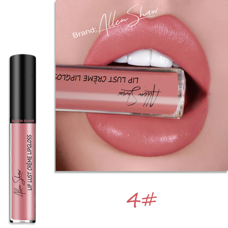 Lip Glaze Cream Lip Gloss European and American Cosmetics Beauty Makeup view 9