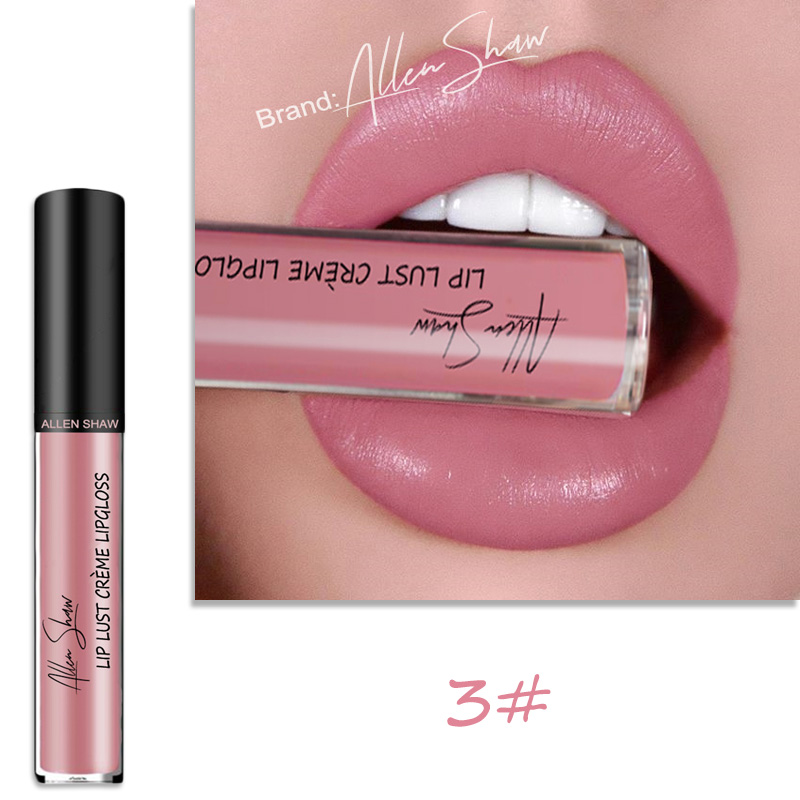 Lip Glaze Cream Lip Gloss European and American Cosmetics Beauty Makeup view 10