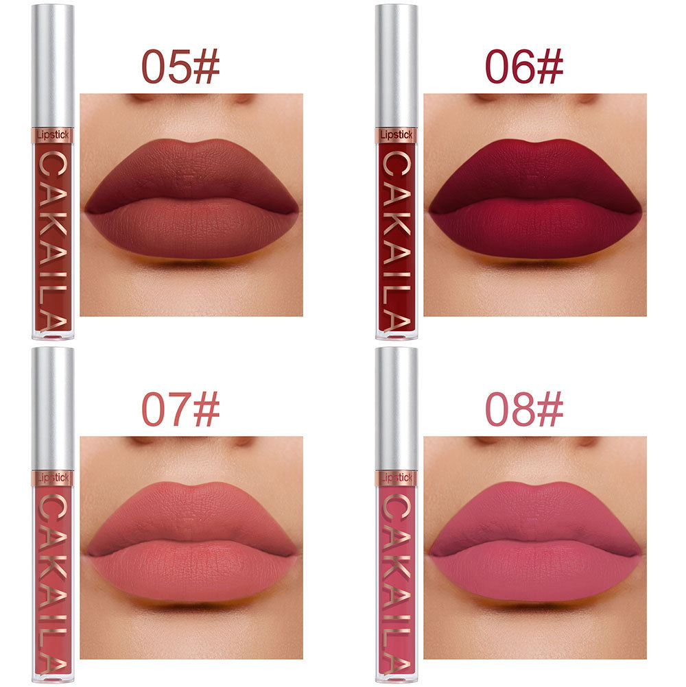 10Pcs set CAKAILA 9 Matte lip gloss and 1 Lip liner Box Lipstick nonstick cup muti-colors