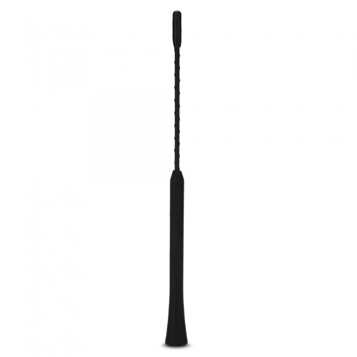 9 inch Universal Car Radio Antenna Aerial Whip Mas