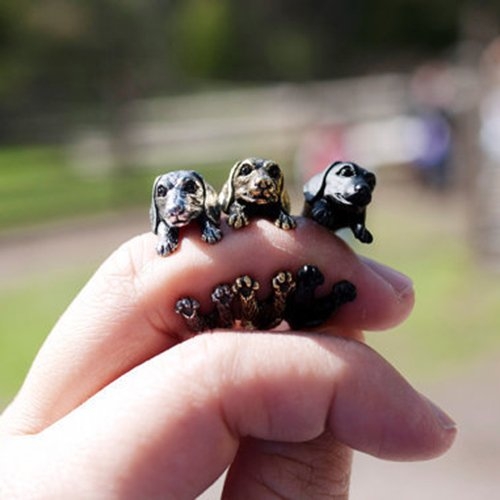 Cute Dog Lover Dachshund Dog Puppy Ring