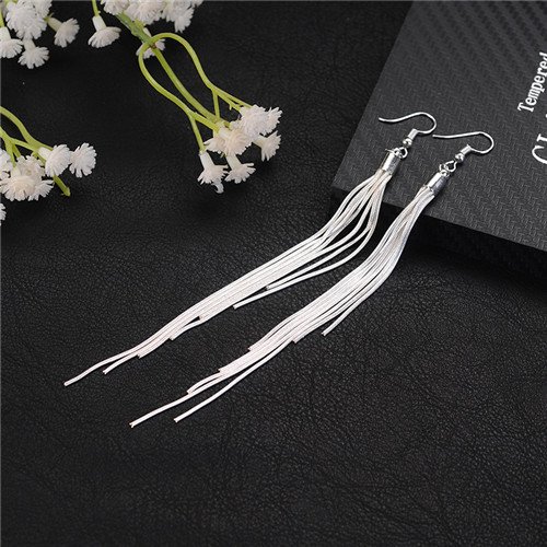 Silver Long Tassel Earrings For Women