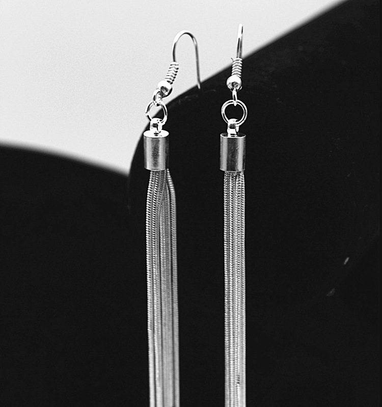 Silver Long Tassel Earrings For Women