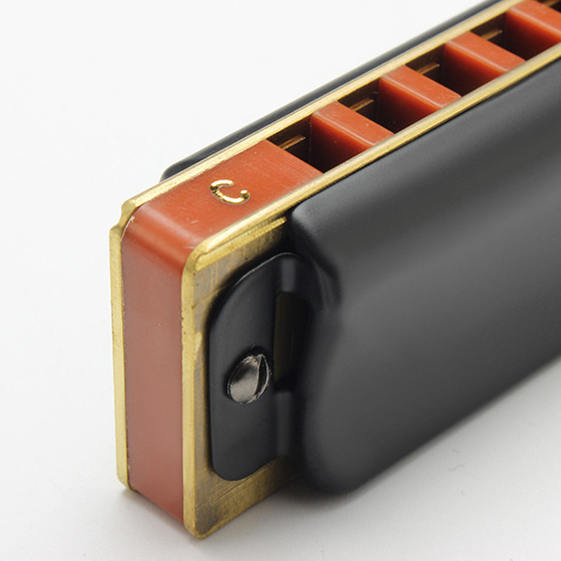 10 Hole Diatonic Blues Harmonica Armonicas Mouth Ogan Woodwind Musical Instrument Melodica