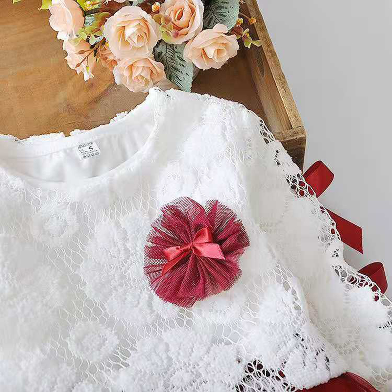 D-baby 0-2Y Girls Dresses Newborn Infant Baby Girl Lace Dress Todller Wedding Dress