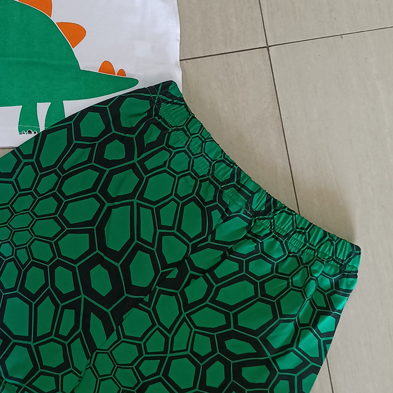 D-baby Kids Boys Set Dinosaur Short-sleeved T-shirt + pants Set Children's clothing