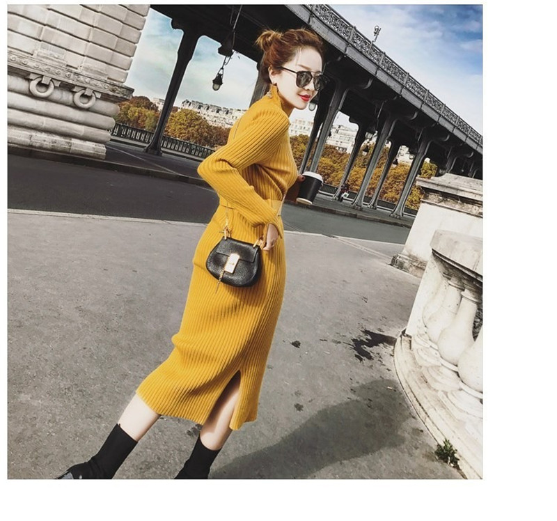 Autumn and winter long sweaters dresses women's bottoming shirts sweater skirts jackets elastic