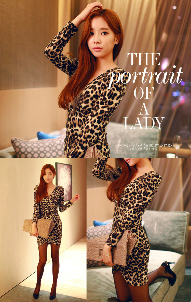 New Leopard Print Women's Sexy Slim Dress Party One Piece Dress Long Slim V-Neck long sleeve Dress