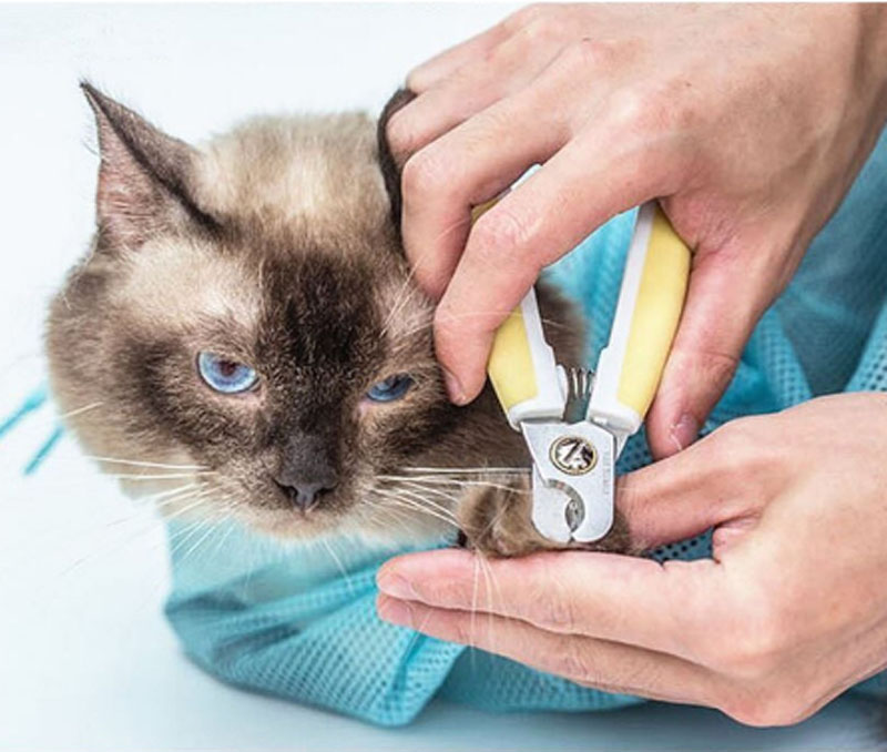 BL Cat Grooming Restraint Bag Pet Durable Washing Shower Net Bag Adjustable Cat Bathing Mesh Net