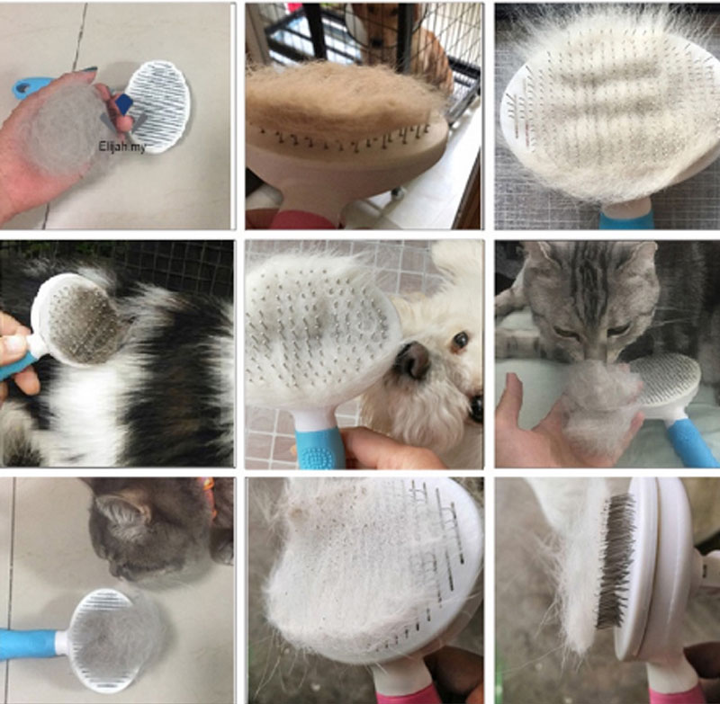 BL Dog Brush Cat Brush Pet Brushes Pet Comb Pet Hair Remover Brush Pet Grooming Tool Cleaning Brush