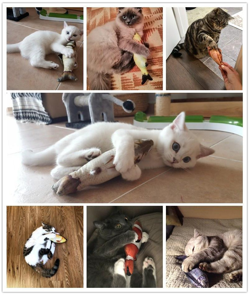 BL Pet Kitten Cat Fish Shape Toy Simulation Fish Funny Toy Pet Cat Playing Toy Kitten Teaser Cute