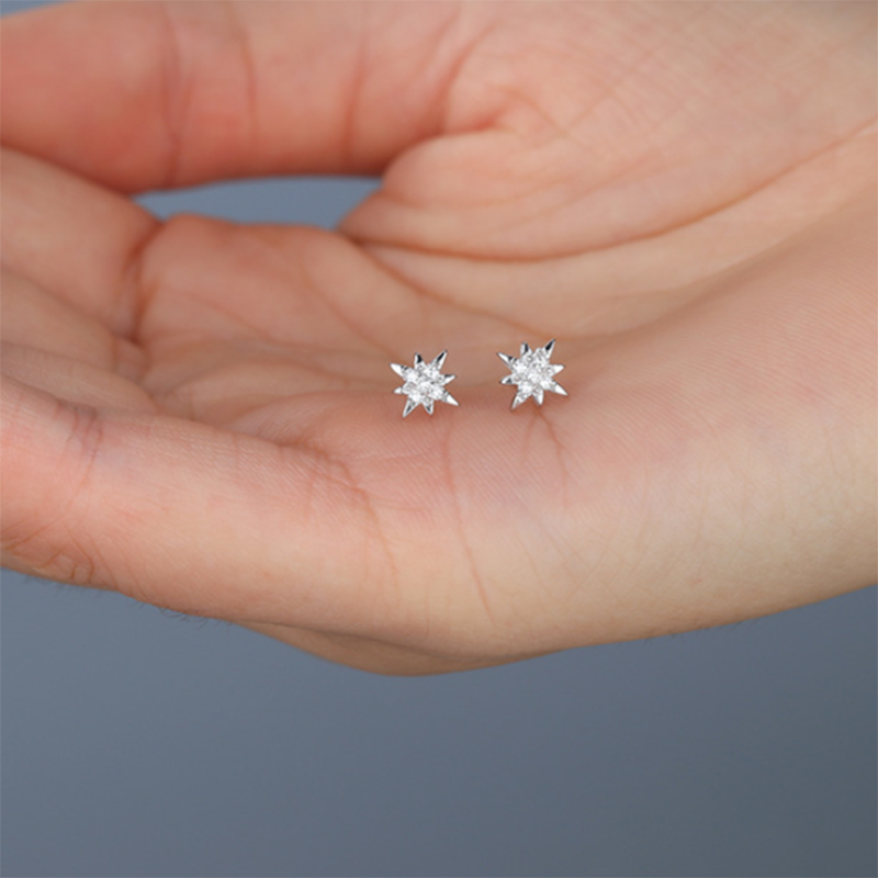 S925 Korean version of Super Sensi sterling silver stellar zircon stud earrings