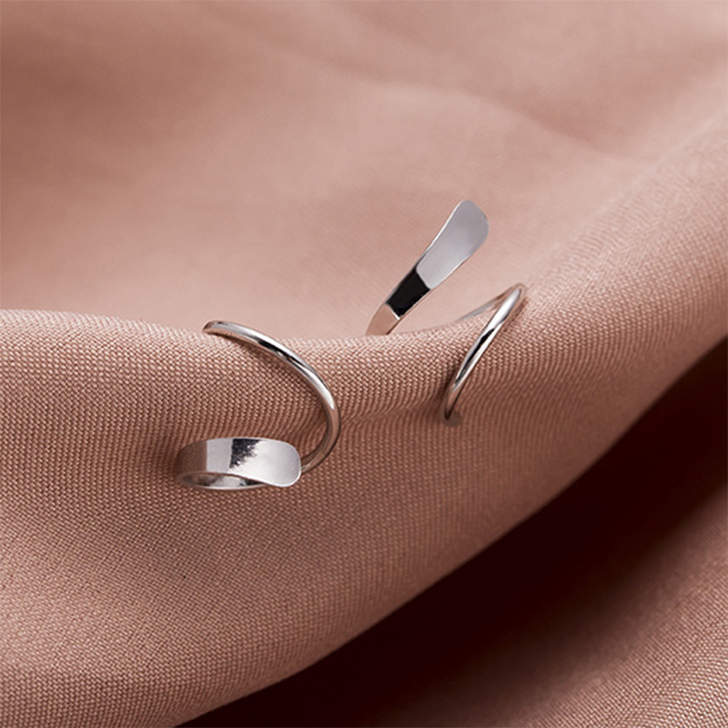 Simple Wild Geometric Rotating 925 Sterling Silver Earrings