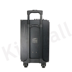 TAGWOOD LTS-10A Subwoofer Outdoor Speaker ,Bluetooth,Free Wireless Microphone &amp; a Built in Battery Woofer