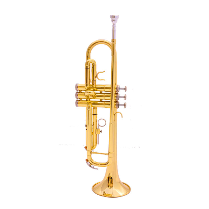 B flat Trumpet / trumpet instrument gold beginner's grade examination professional performance