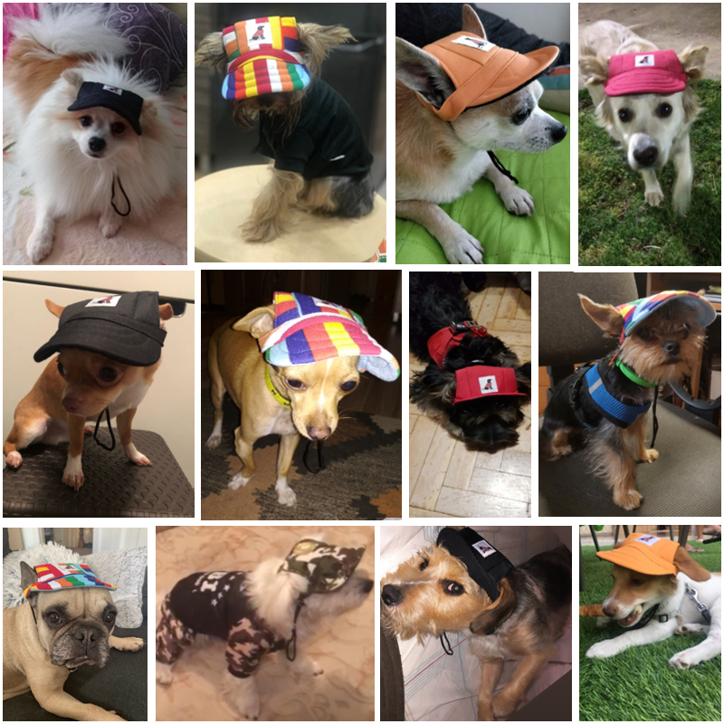 Pet Dog Cap Small Pet Summer Canvas Cap Dog Baseball Visor Hat Puppy Outdoor Pet Supplies