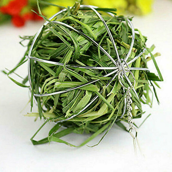 Stainless Steel Round Sphere Feed Dispense Exercise Hanging Hay Ball Guinea Pig Hamster Rabbit Pet Toy