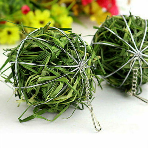Stainless Steel Round Sphere Feed Dispense Exercise Hanging Hay Ball Guinea Pig Hamster Rabbit Pet Toy
