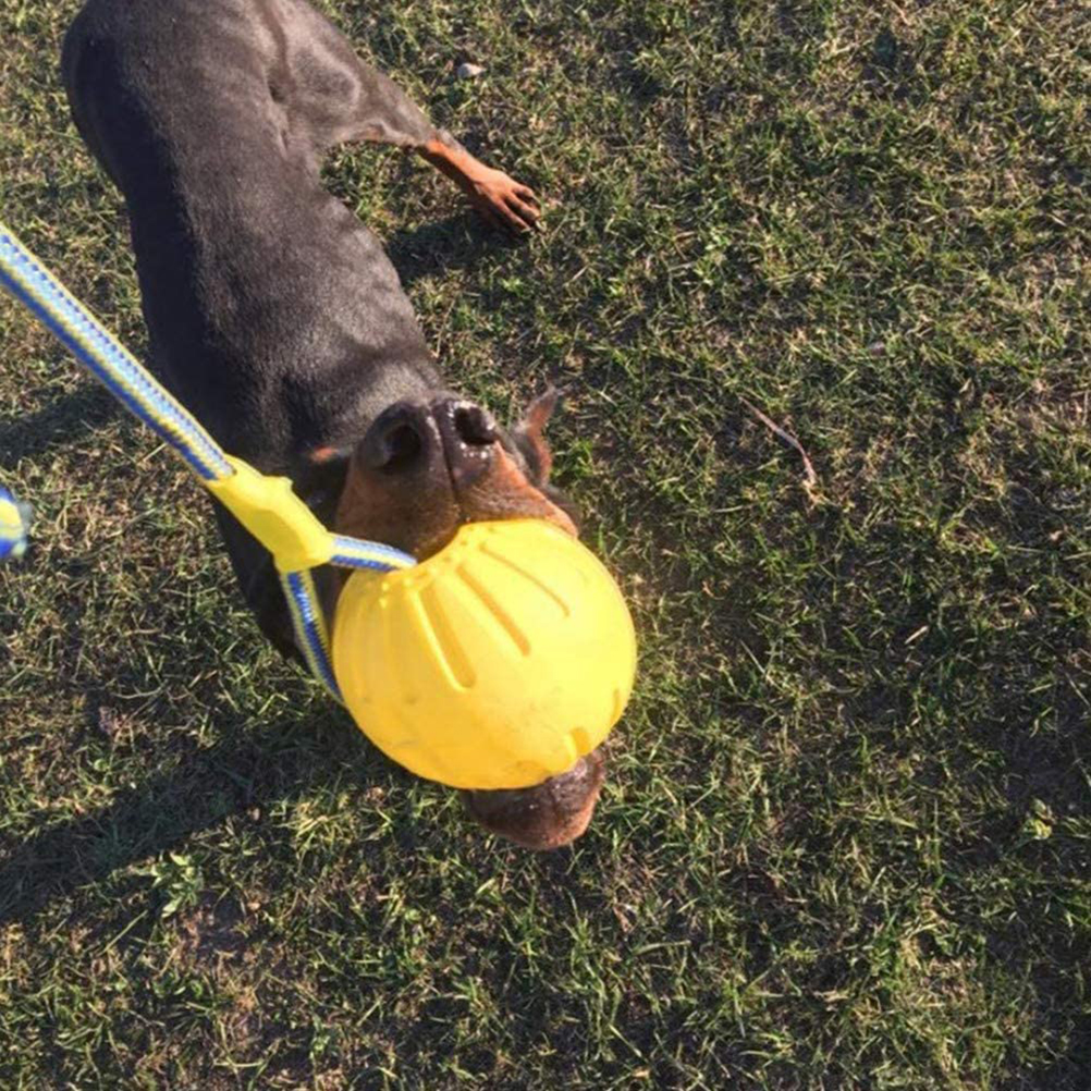 2021 High quality Floating Pet Dog Training  Ball Puppy Bite Resistant Ball With Rope Pet Chew Toys For Pet Supplies