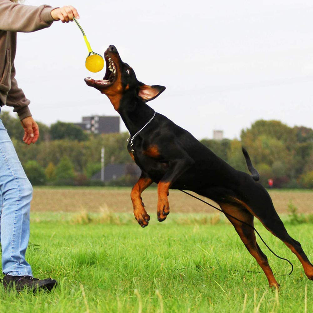 2021 High quality Floating Pet Dog Training  Ball Puppy Bite Resistant Ball With Rope Pet Chew Toys For Pet Supplies