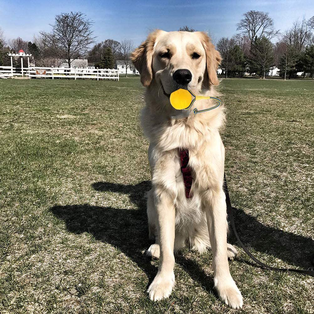 2021 High quality Floating Pet Dog Training  Ball Puppy Bite Resistant Ball With Rope Pet Chew Toys For Pet Supplies