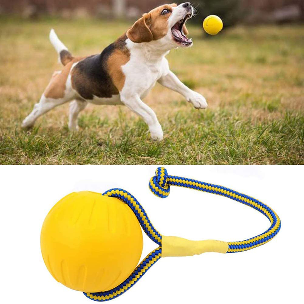 2021 High quality Floating Pet Dog Training  Ball Puppy Bite Resistant Ball With Rope Pet Chew Toys For Pet Supplies