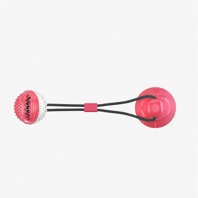 2021 High quality Pet Interactive Suction Cup Push Molar Bite Toy Elastic Ropes Dog Tooth Cleaning Chewing Supplies
