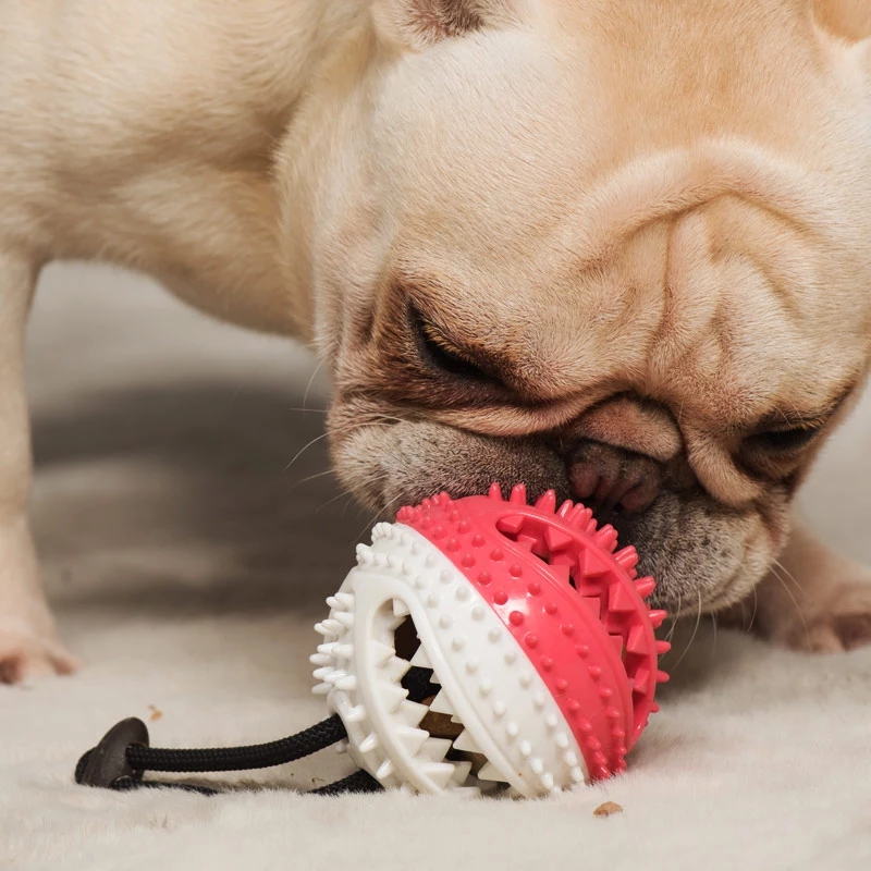 2021 High quality Pet Interactive Suction Cup Push Molar Bite Toy Elastic Ropes Dog Tooth Cleaning Chewing Supplies