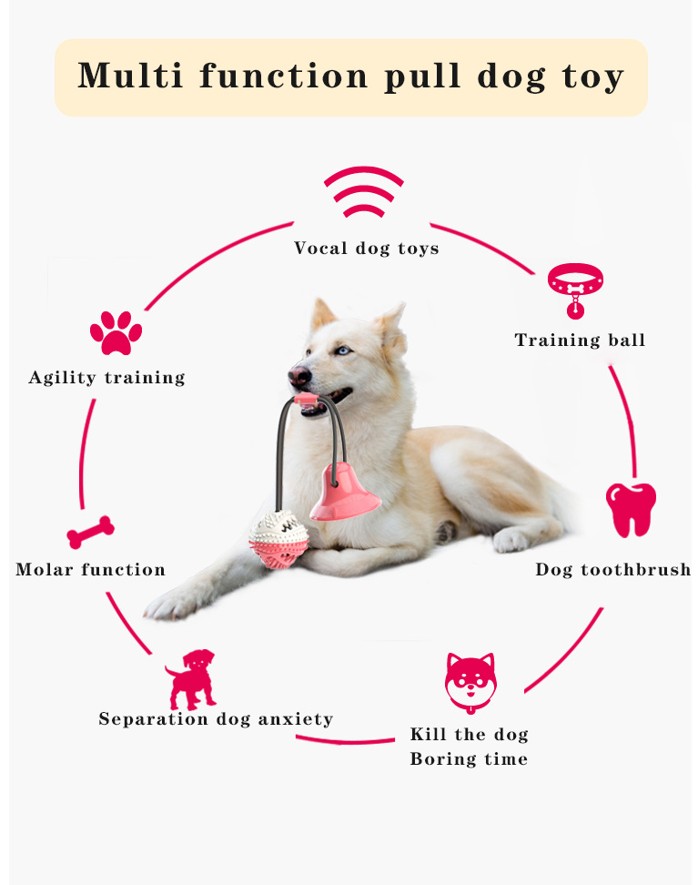 2021 High quality Pet Interactive Suction Cup Push Molar Bite Toy Elastic Ropes Dog Tooth Cleaning Chewing Supplies