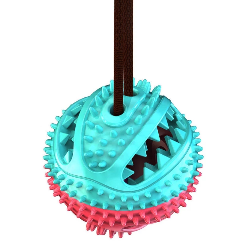 2021 High quality Pet Interactive Suction Cup Push Molar Bite Toy Elastic Ropes Dog Tooth Cleaning Chewing Supplies