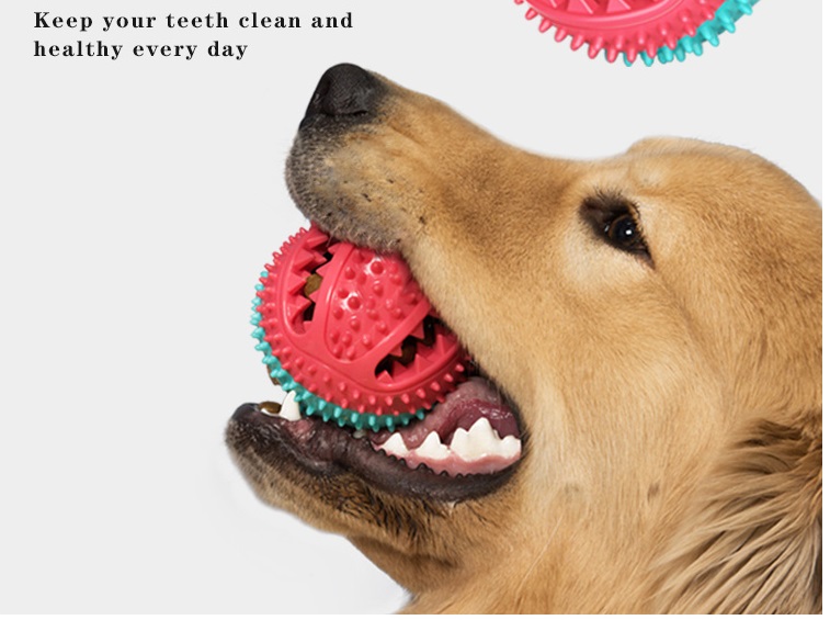 2021 High quality Pet Interactive Suction Cup Push Molar Bite Toy Elastic Ropes Dog Tooth Cleaning Chewing Supplies