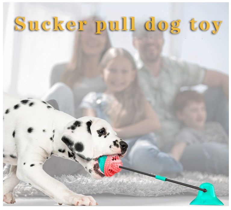 2021 High quality Pet Interactive Suction Cup Push Molar Bite Toy Elastic Ropes Dog Tooth Cleaning Chewing Supplies