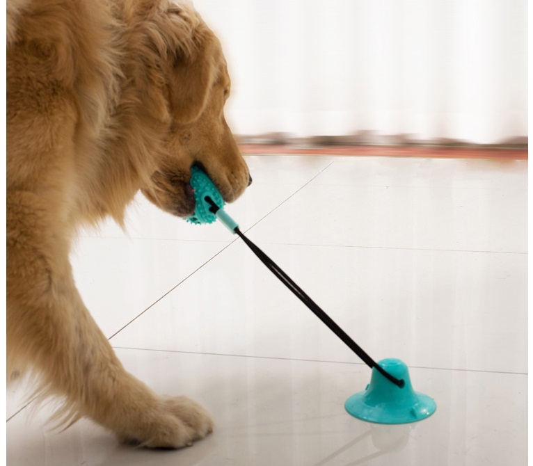 2021 High quality Pet Interactive Suction Cup Push Molar Bite Toy Elastic Ropes Dog Tooth Cleaning Chewing Supplies