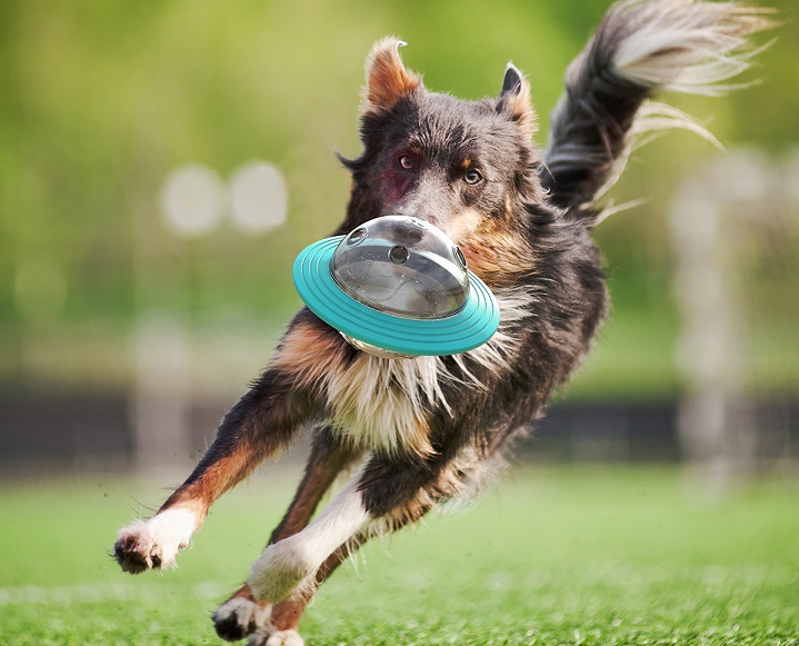 2021 High quality Interactive Dog Game Cat Dogs Slow Food Leakage Foods Ball Puppy IQ Training Toy Pet Supplies