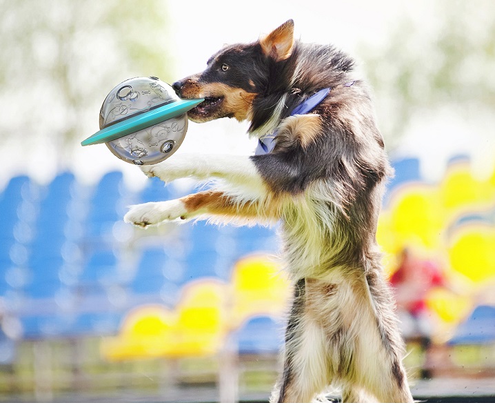 2021 High quality Interactive Dog Game Cat Dogs Slow Food Leakage Foods Ball Puppy IQ Training Toy Pet Supplies