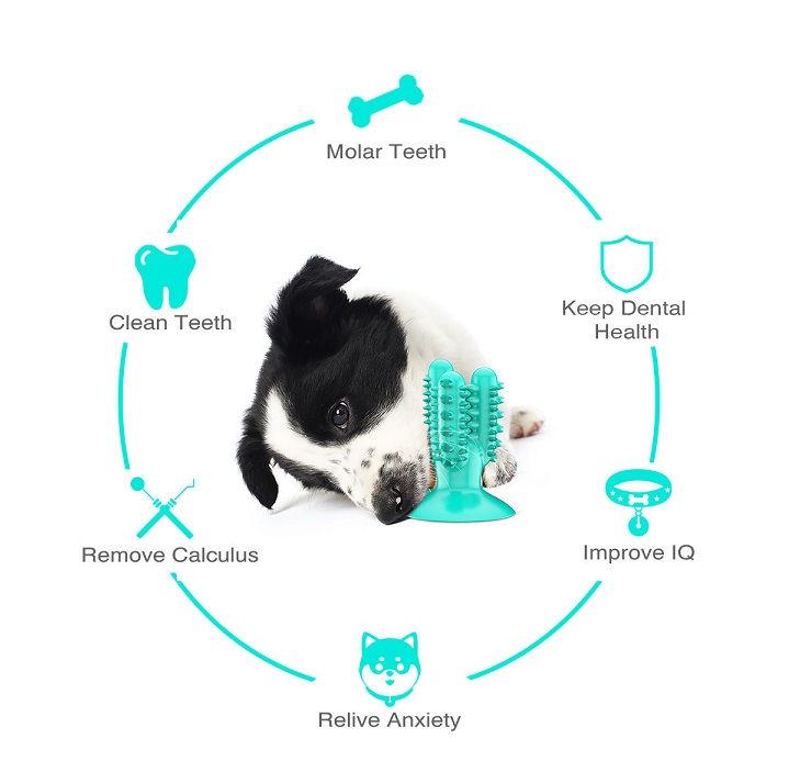 2021 High quality Dog Suction Molar Toothbrush Toy Chew Cleaning Teeth Safe Elasticity Soft TPR Pet Tooth Cleaning Toy