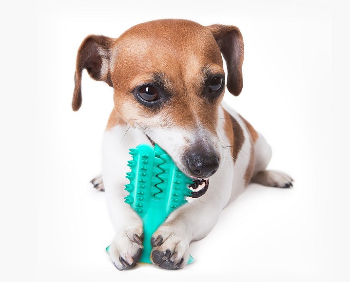 2021 High quality Dog Suction Molar Toothbrush Toy Chew Cleaning Teeth Safe Elasticity Soft TPR Pet Tooth Cleaning Toy