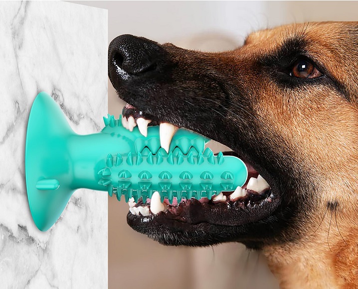 2021 High quality Dog Suction Molar Toothbrush Toy Chew Cleaning Teeth Safe Elasticity Soft TPR Pet Tooth Cleaning Toy