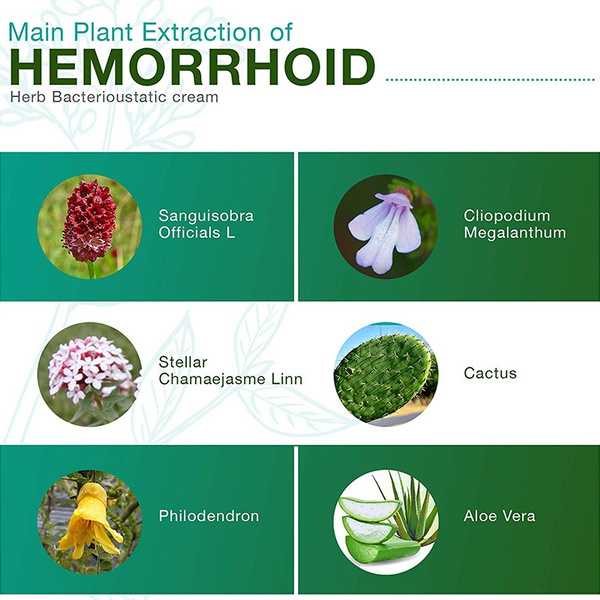 Hemorrhoid Fissure Cream Ointment Fast Relief Portable for Women Men Adult