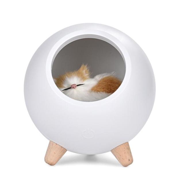 LED Night Lamp Decorate Desk Light Battery Dream Cat Holiday Creative Rechargable Bulb for Baby Dedroom Luminar