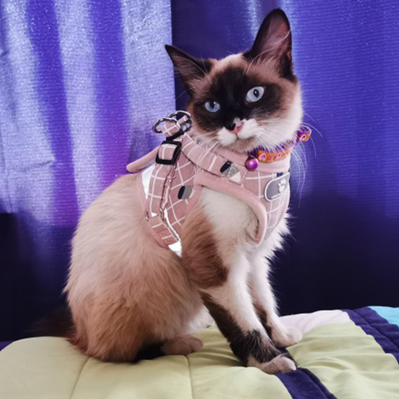 Fashion Plaid Cat Harnesses for Cats Summer Mesh Pet Harness and Leash Set