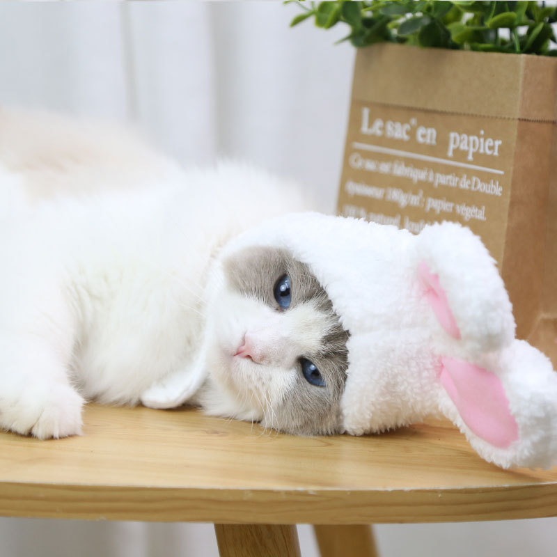 2PC Funny Easter Cute Plush Costume Cat Deformation Hat Rabbit Headwear Pet Accessories for Cats and Small Dogs Hat Pet Products