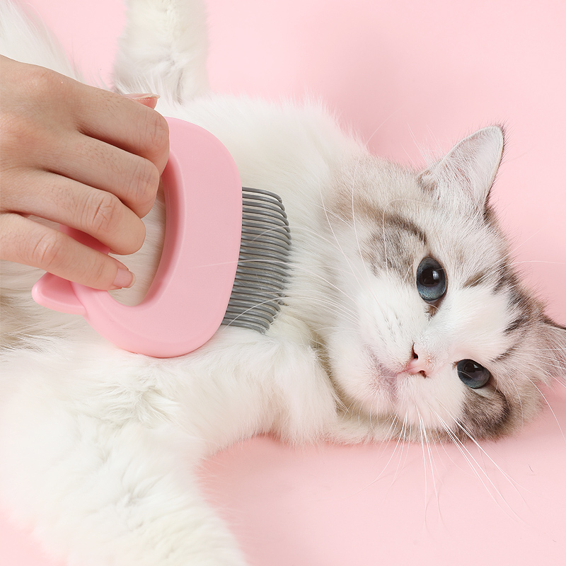 Pet Massage Brush Shell Shaped Handle Pet Grooming Massage Tool To Remove Loose Hairs Only For Small and Medium Pets Clean Comb