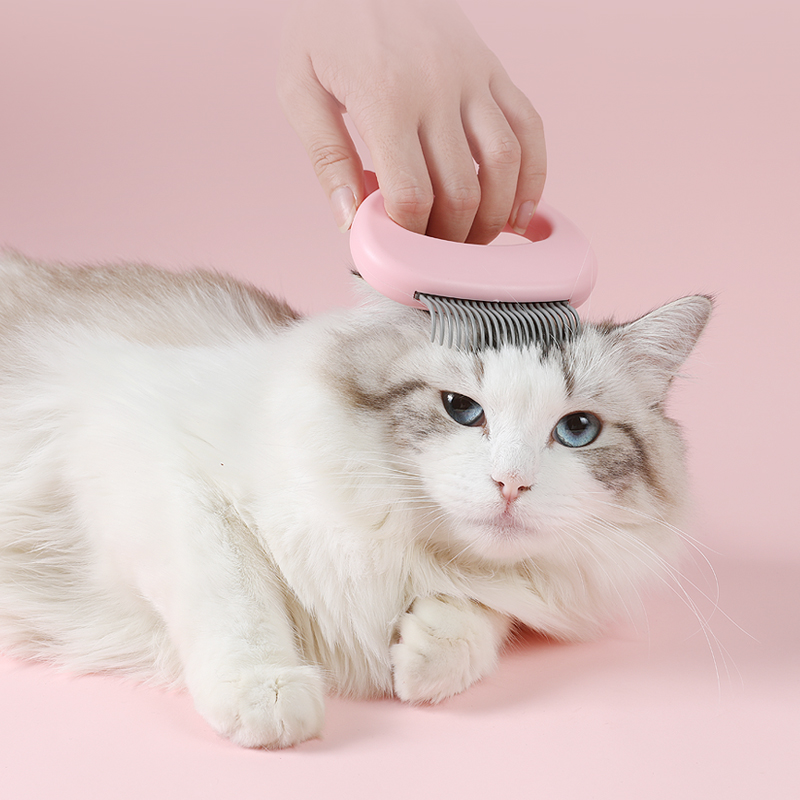Pet Massage Brush Shell Shaped Handle Pet Grooming Massage Tool To Remove Loose Hairs Only For Small and Medium Pets Clean Comb