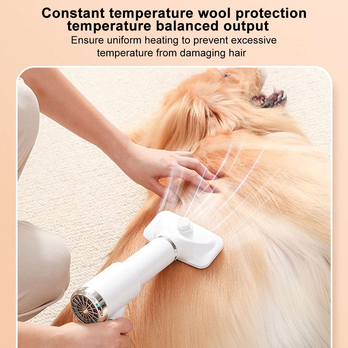 Pet Hair Dryer Portable 2 in 1 Dog Hair Dryer Home Pet Grooming Cat Hair Comb Dog Fur Blower Adjustable Temperature Pet Brush