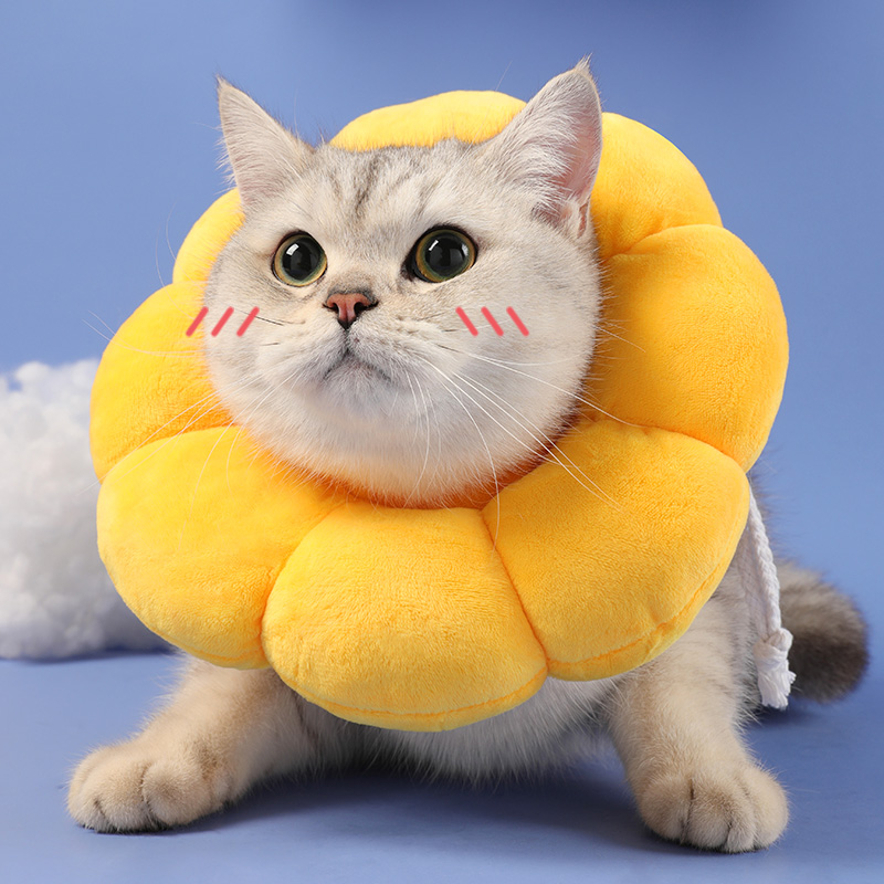 Cat Collar Anti Scratch Bite Anti Lick Wound Cat Bib Light And Comfortable Cat Products Cat Accessories